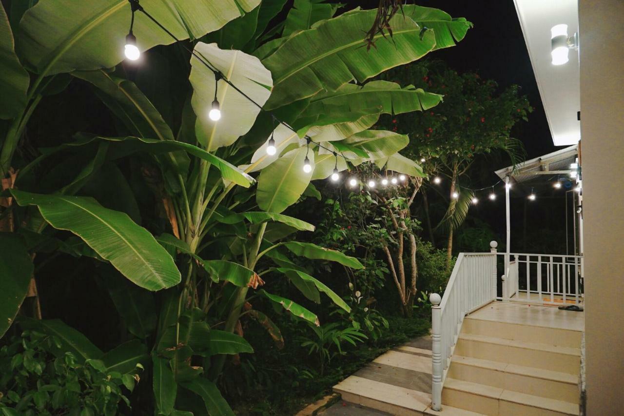 Longan Homestay Hoi An Exteriör bild