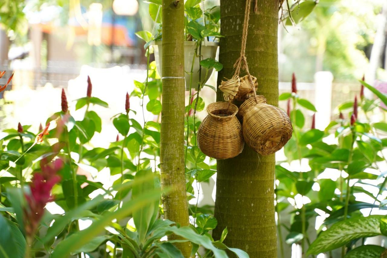 Longan Homestay Hoi An Exteriör bild